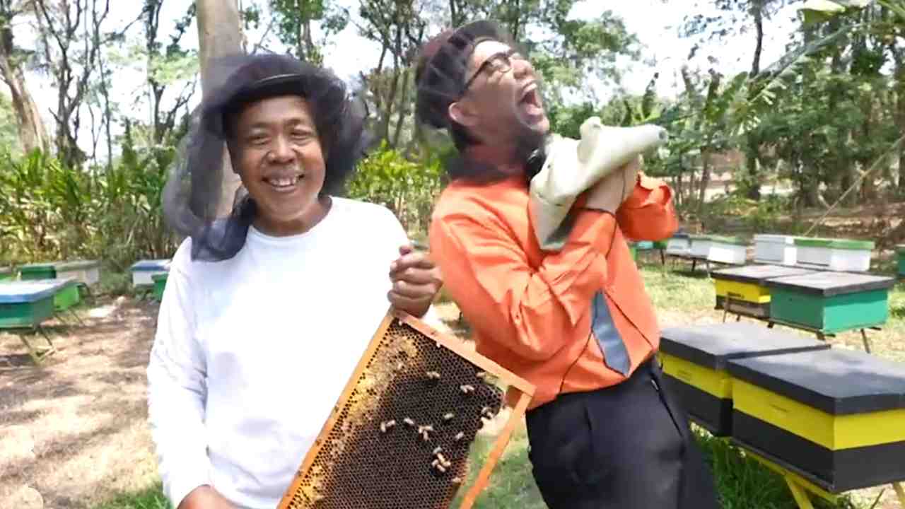 Asal Usil