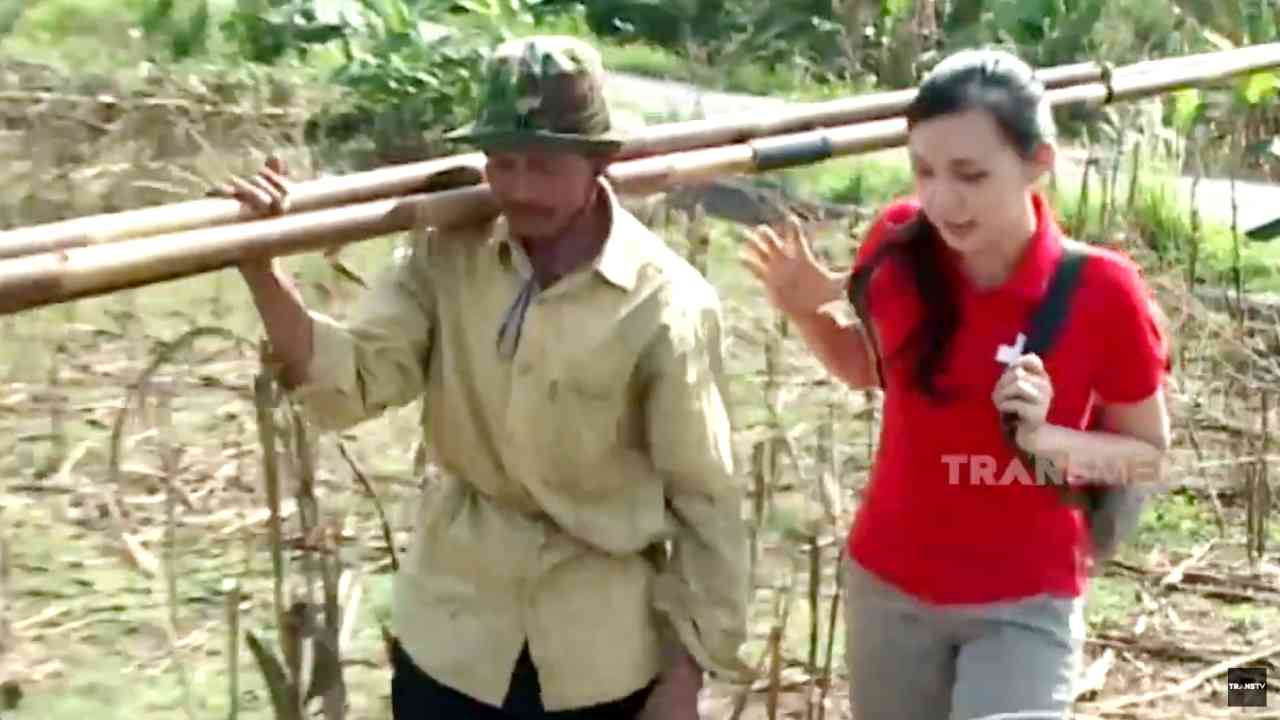 JIKA AKU MENJADI: Mencari Telur Semut Demi Kehidupan Keluarga