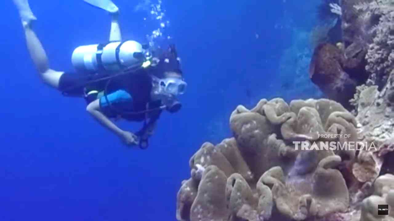 Favorite TV Program Favorite TV Program