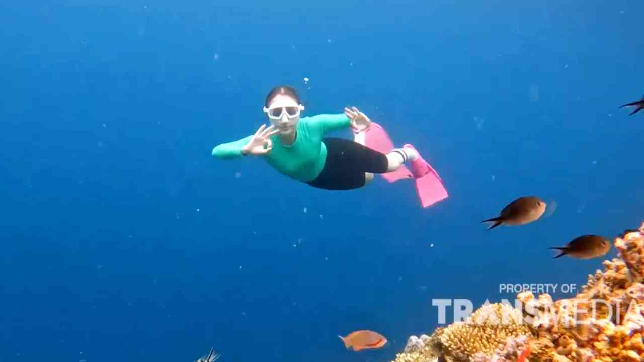 Wisata Bawah Air Banyuwangi, Keindahannya Selalu Memanggil Kembali