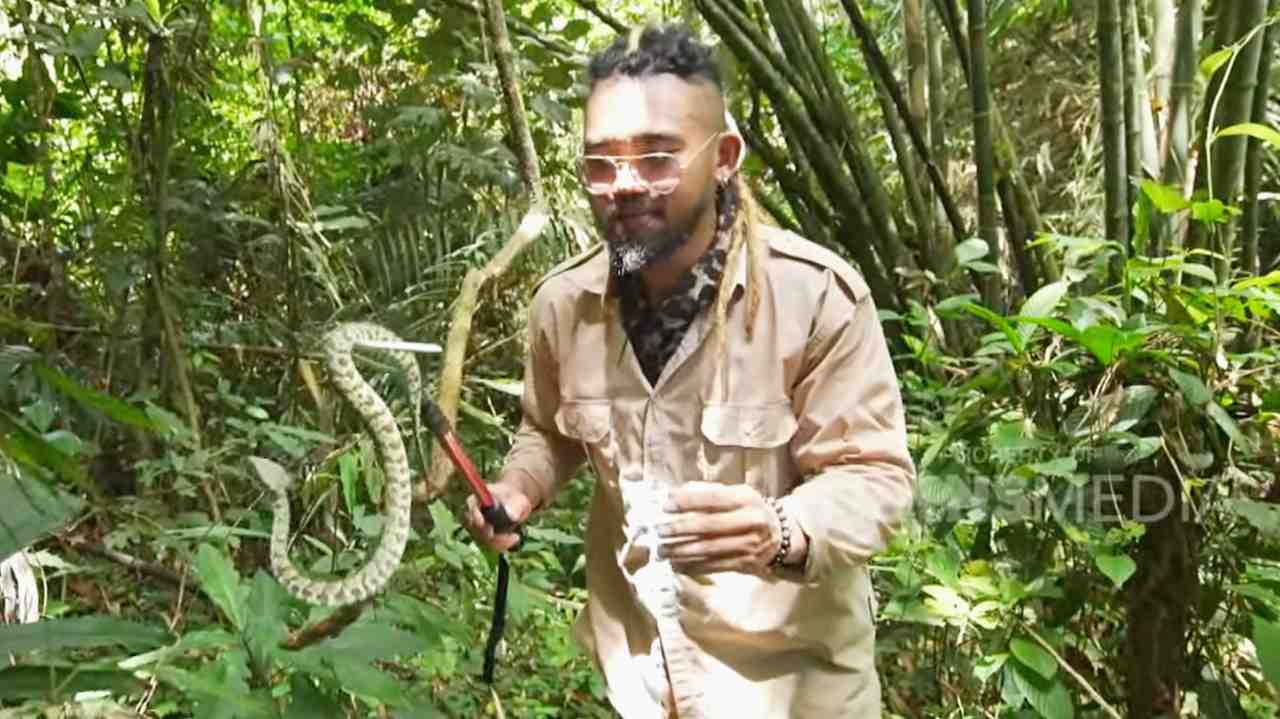 King of The Jungle