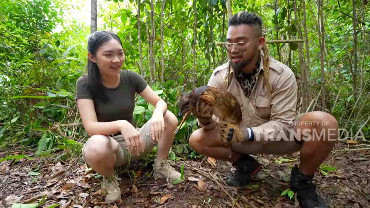 King of The Jungle
