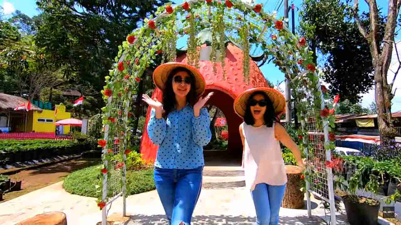 Celebrity on Vacation