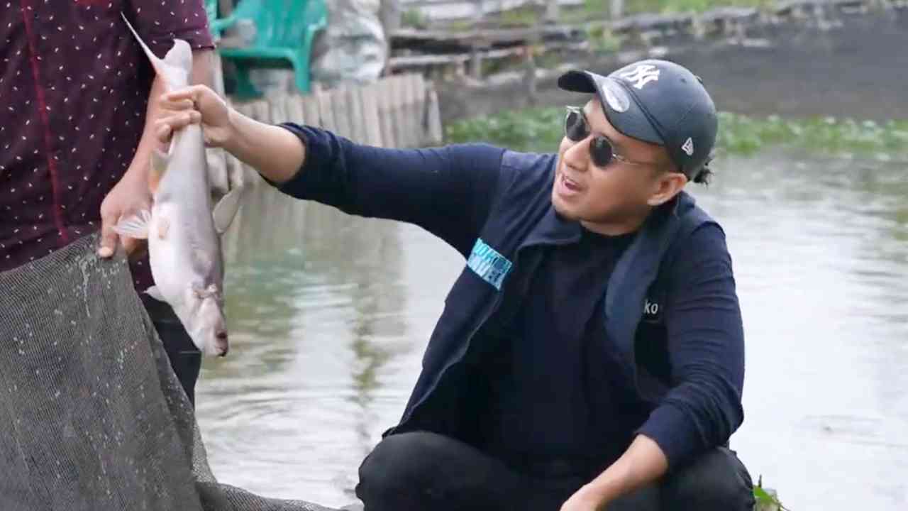 Apa Saja sih, Maanfaat Makan Ikan Patin bagi Kesehatan Tubuh?