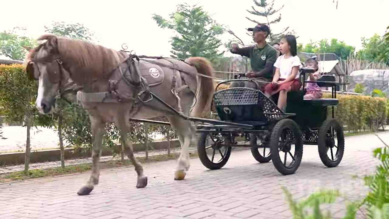 Wisata Berkuda dan Edukasi Anak di BSD, Pilihan Liburan yang Menyenangkan