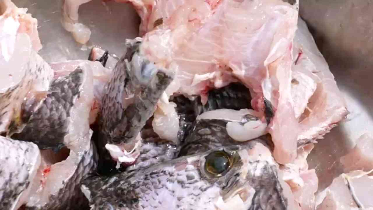Benarkah Ikan Fermentasi Bekasam Aman Dikonsumsi?