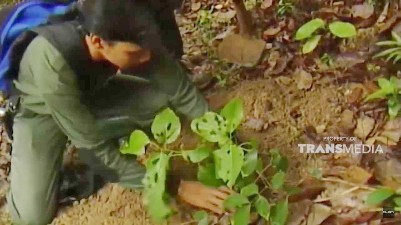 Favorite TV Program Favorite TV Program