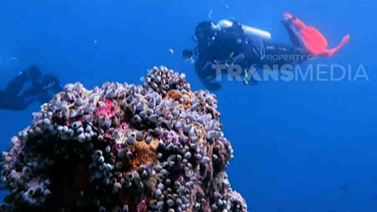 My Trip My Adventure