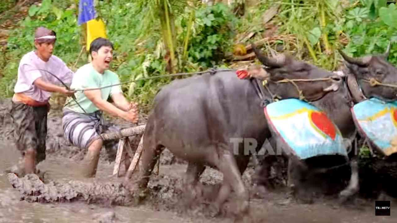 Desa Wisata Sasak Ende, Detak Jantung Budaya dan Kearifan Lokal