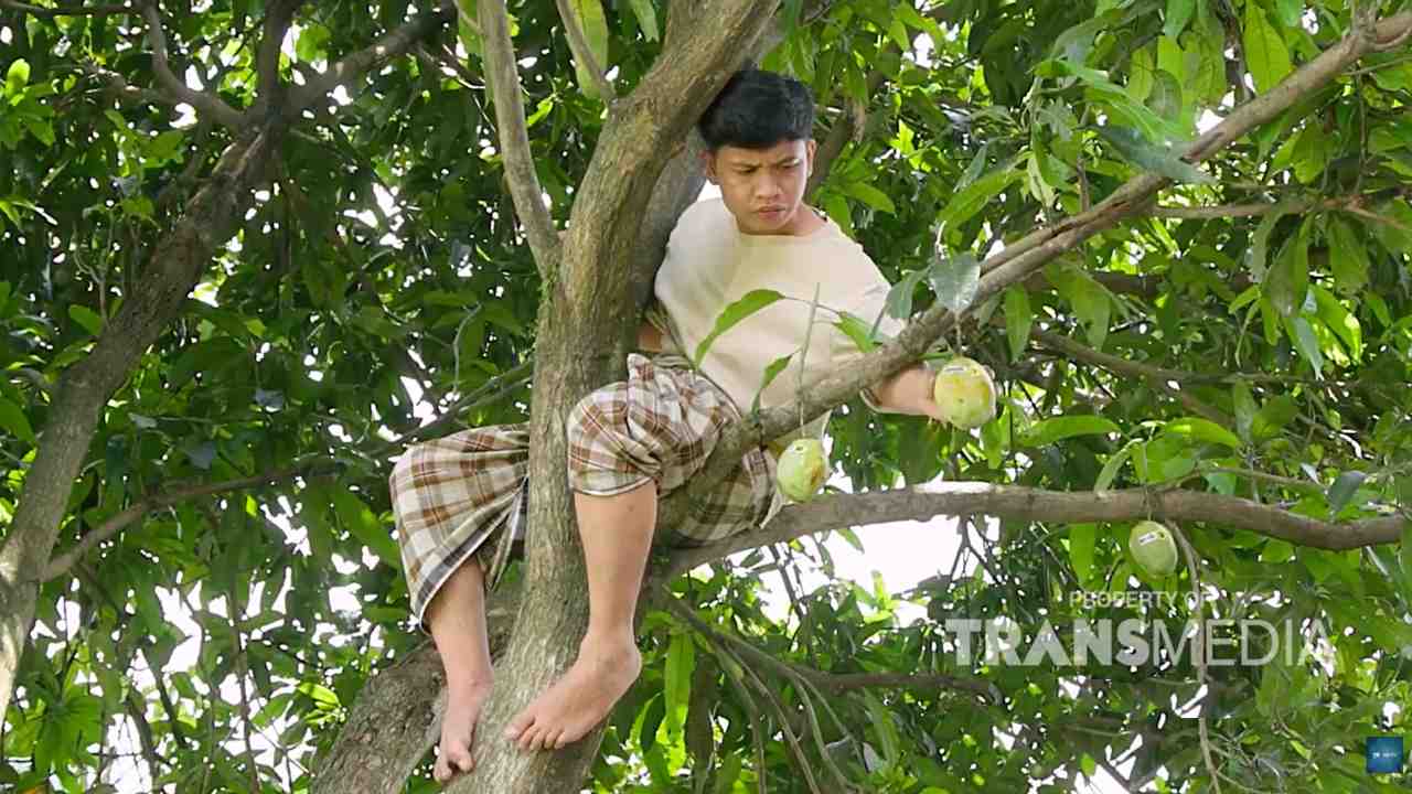 Larangan Mengambil Hak Orang Lain, dari Harta, Tanah, hingga Kehormatan