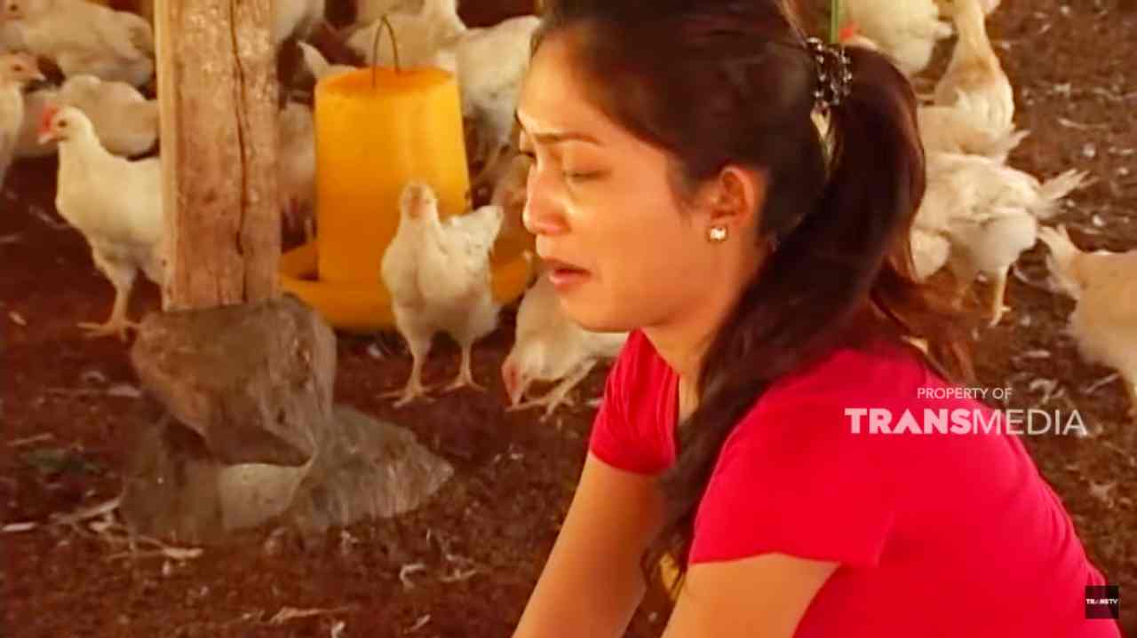 Favorite Reality Show