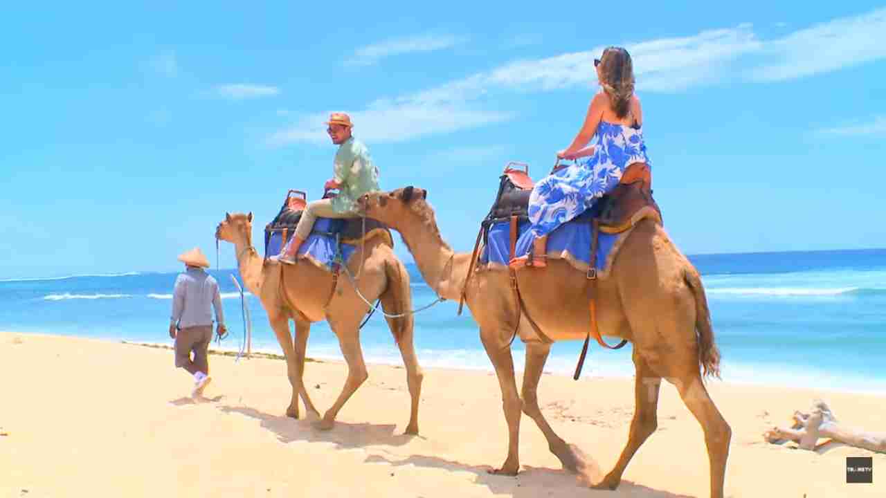 Celebrity on Vacation