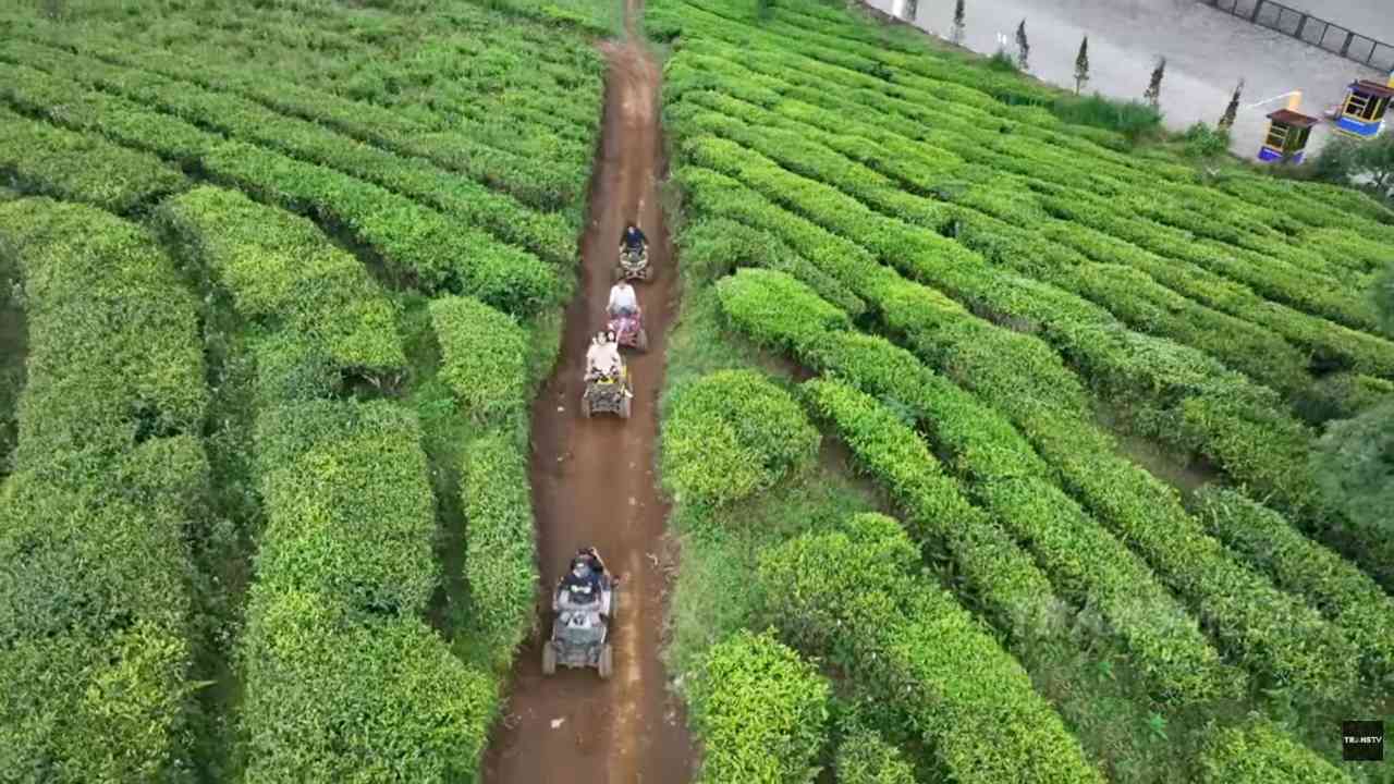 Nimo Highland Pangalengan dengan Pemandangan Lembah Teh nan Magis