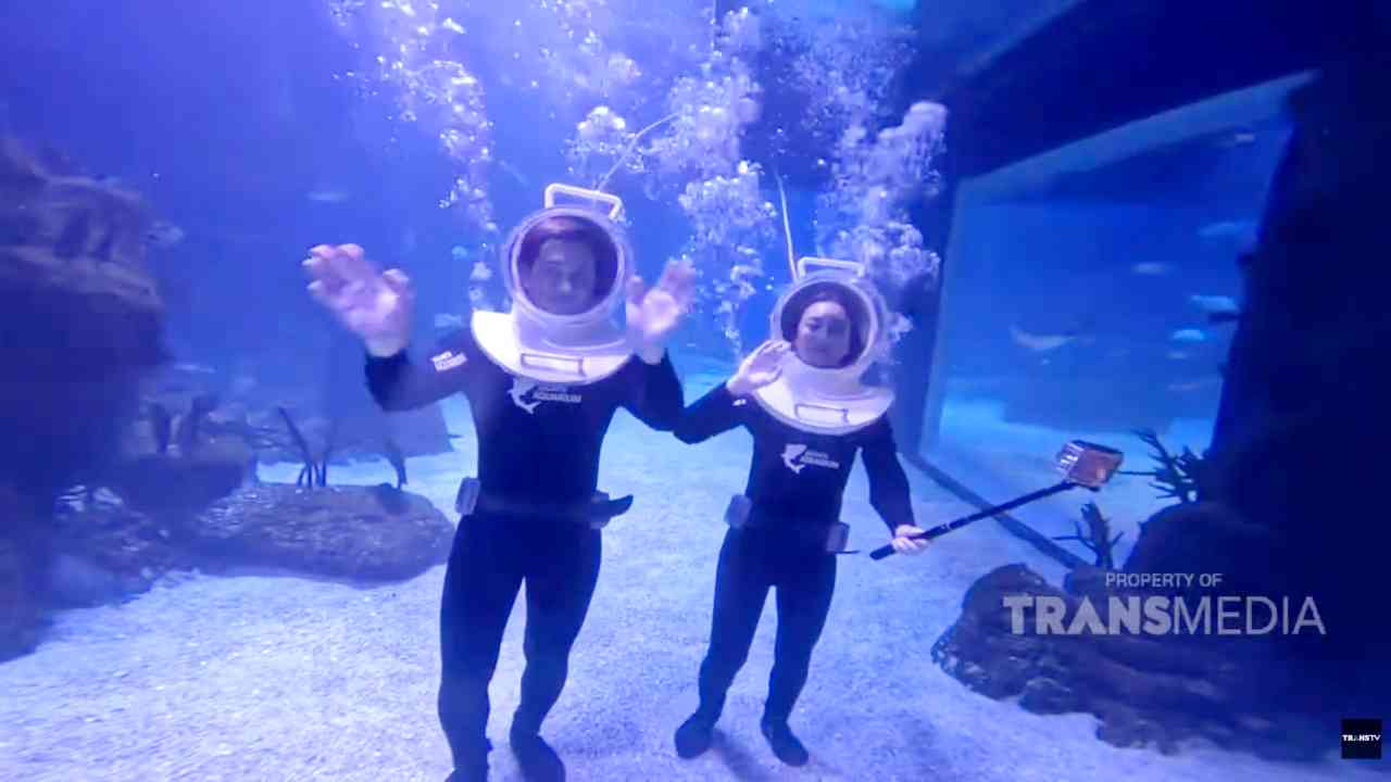 Jakarta Aquarium Safari, Menjelajahi Dasar Laut di Tengah Mal Jakarta