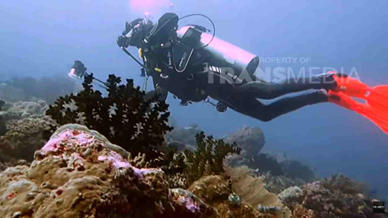 trans tv taman nasional wakatobi