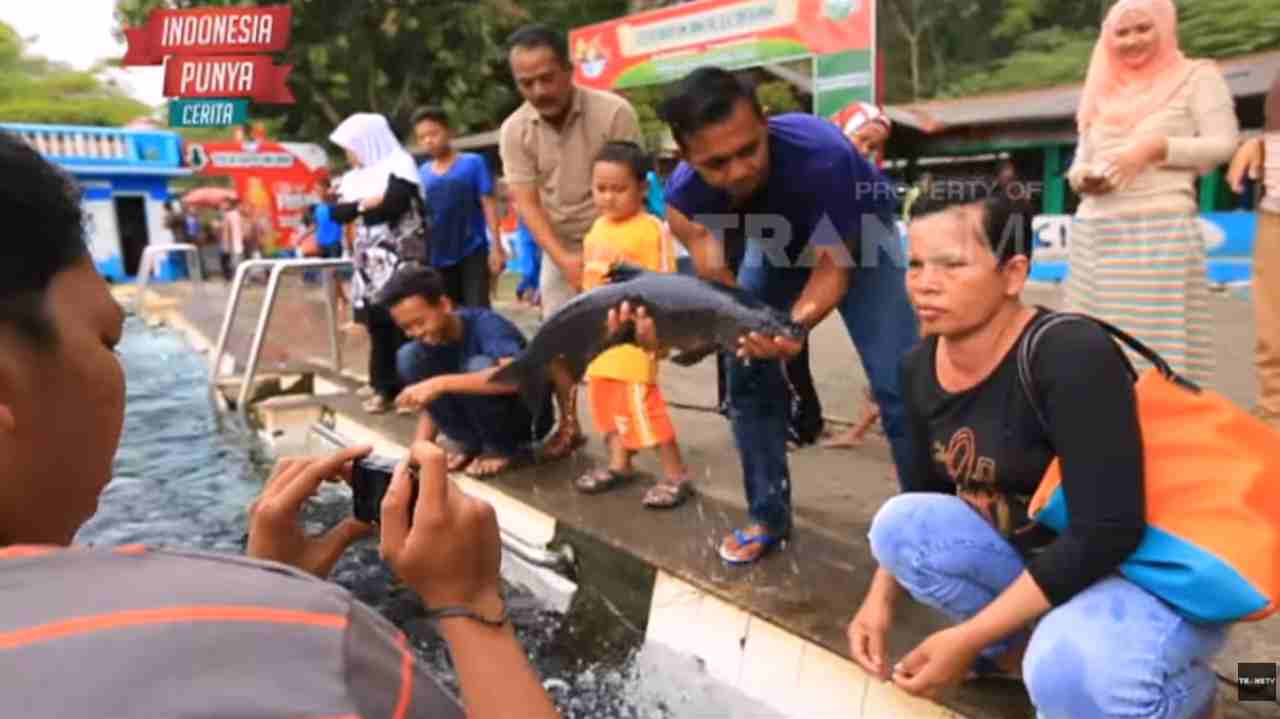 trans tv kolam renang cibulan