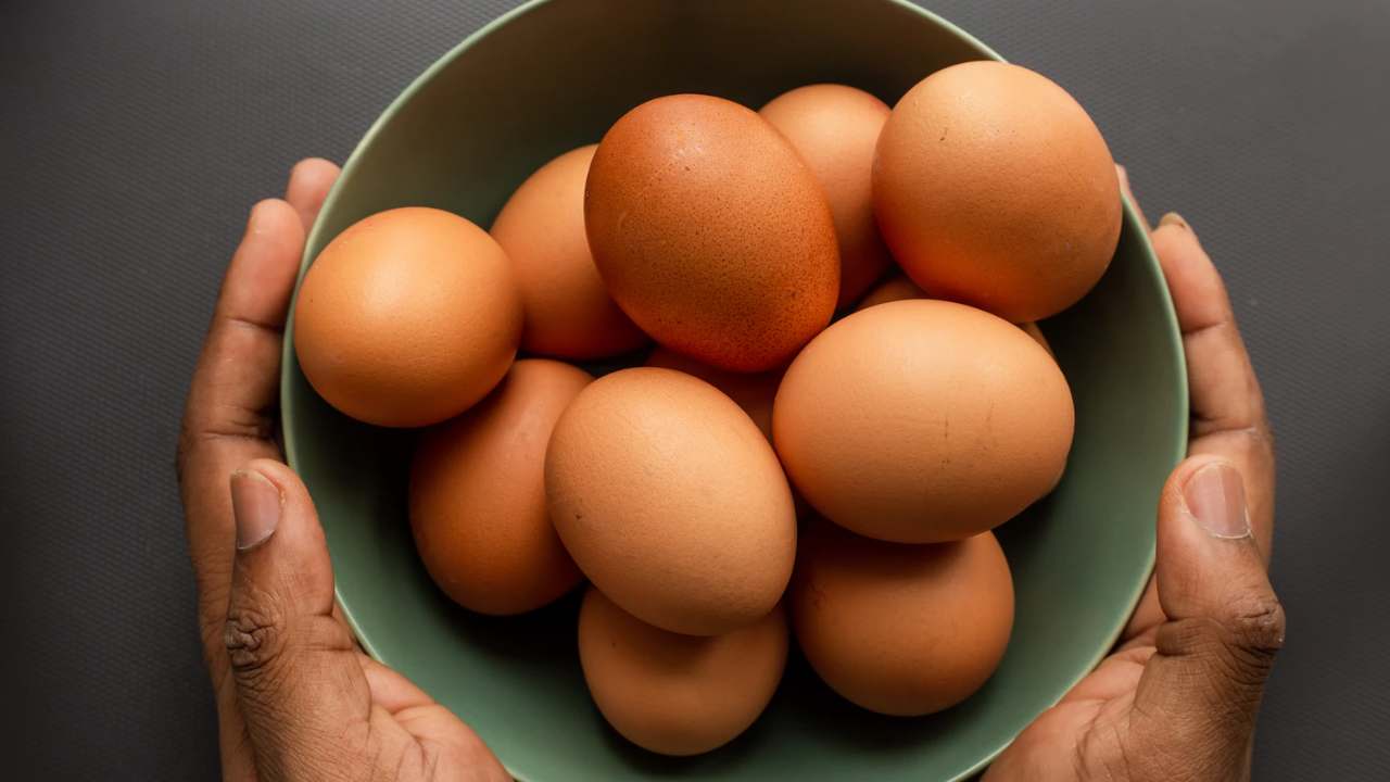 kandungan gizi telur
