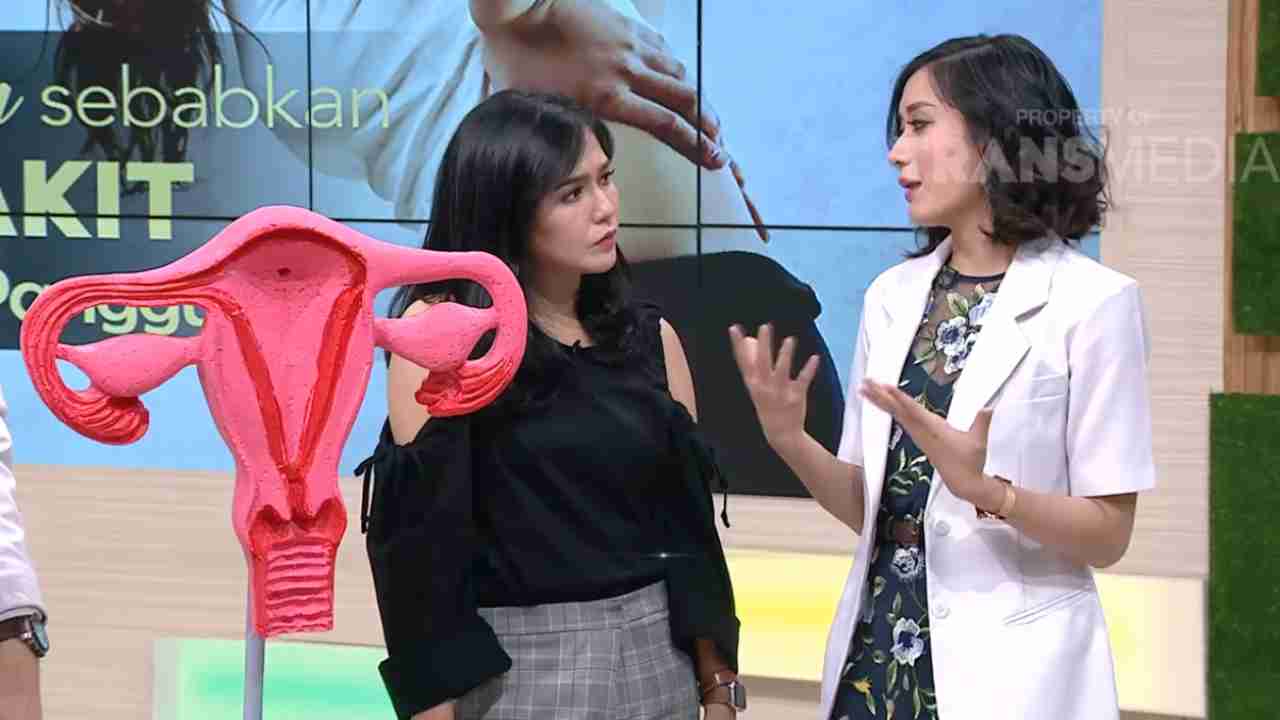 trans tv dr oz keputihan