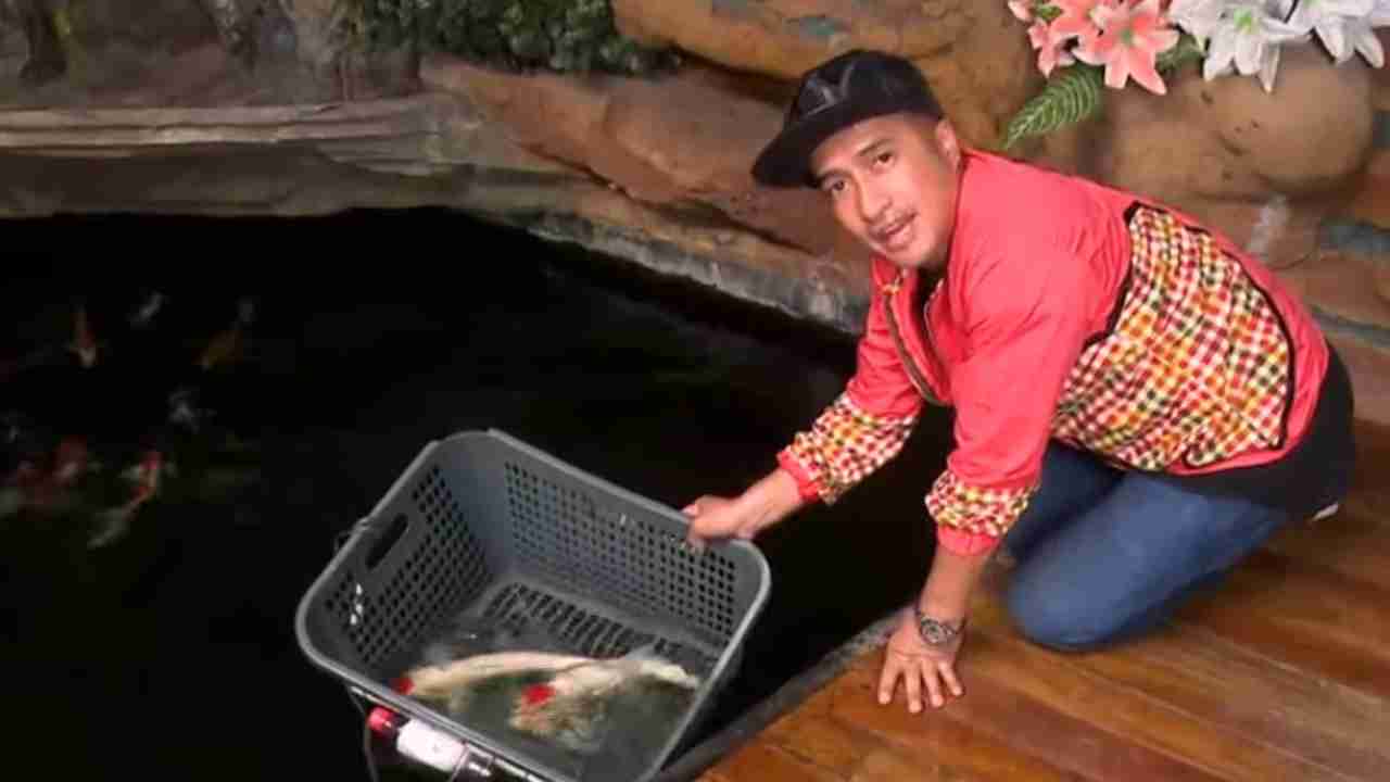 ikan koi trans tv